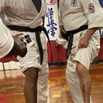 Hanshi Ali Bani
